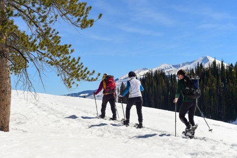 Snowshoe through alpine forests with our guides while the others ski
